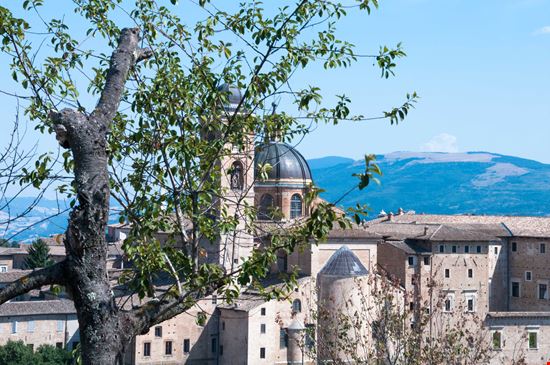 Urbino Panoramica del Palazzo Ducale  