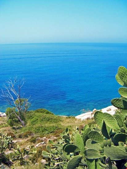  Splendida spiaggia in un tratto di costa brullo e dirupato.  