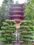 Il giardino Giapponese