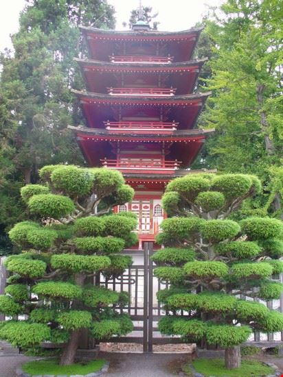 Japanese Tea Garden San Francisco  