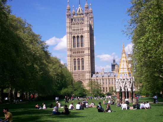 sul prato a Westminster