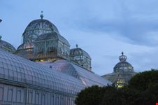 brussels royal greenhouses in laeken