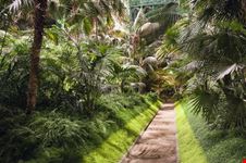 brussels royal greenhouses in laeken