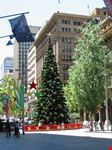 Natale a Sydney