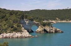 Scogliera