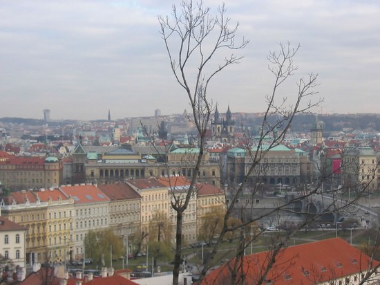 Panorama
