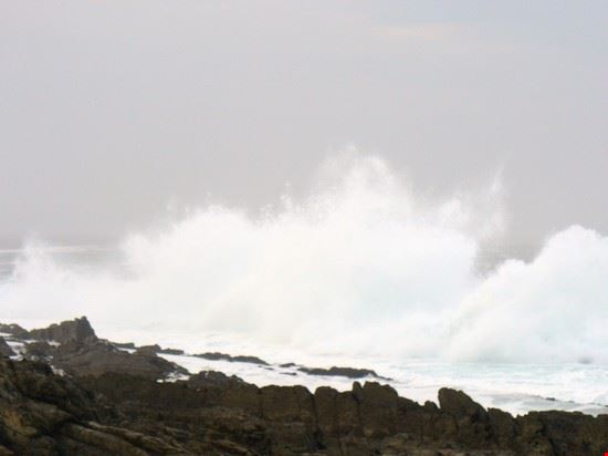  Port elizabeth  