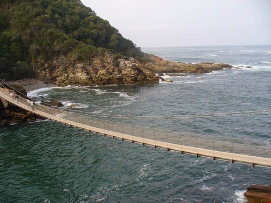  Port elizabeth  