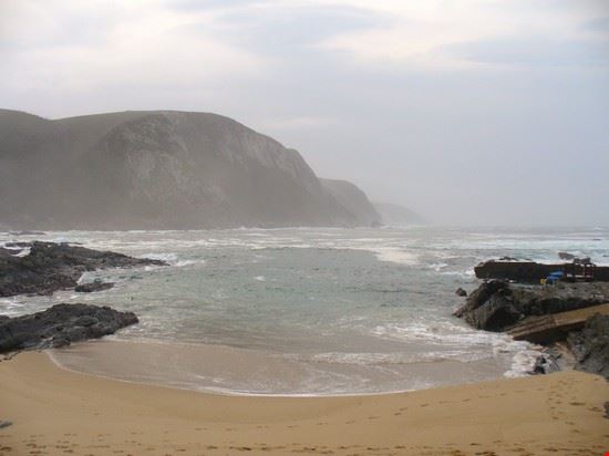  Port elizabeth  