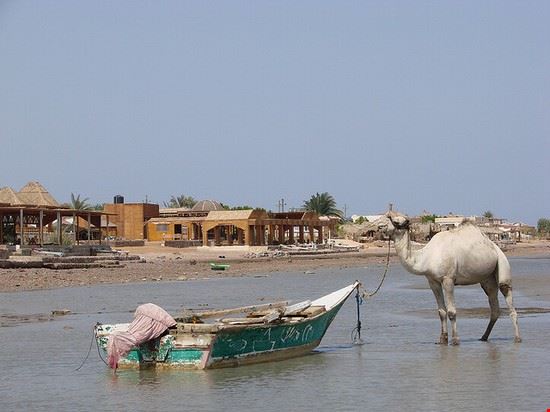  Nuweiba watchsmart - Creative Commons watchsmart