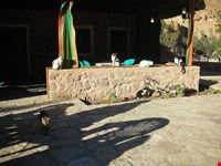 nuweiba am morgen vor der herberge