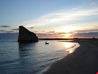 Torre Pali