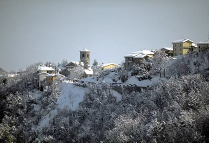 Sologno