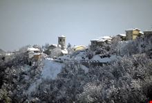 Sologno