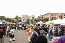 los angeles playa vista farmer  s market
