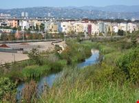 los angeles playa vista