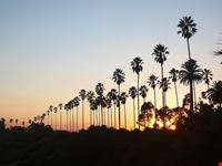 los angeles elysian park