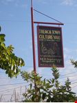 kingston museum
