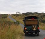 durban le jeep dei ranger durban le jeep dei ranger