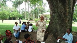 kingston gardens
