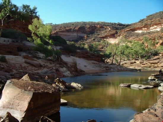  Kings Canyon  