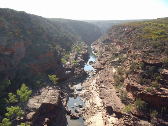 outback australiano