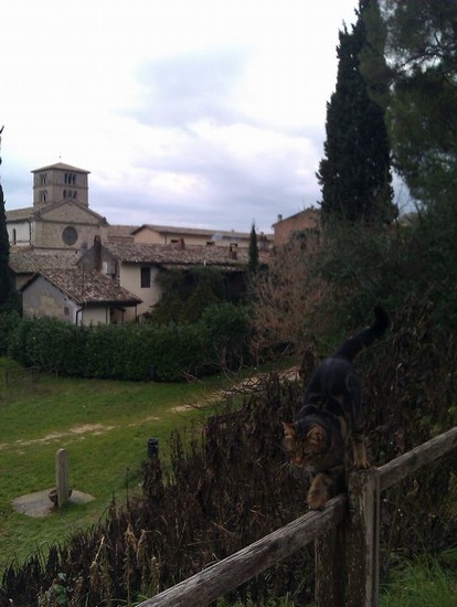 L'equilibrista
