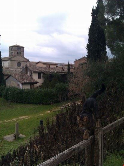  L'equilibrista gioca con la gravità dei sogni che ha nell'anima ..  