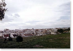 policoro