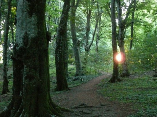 Luci della sera