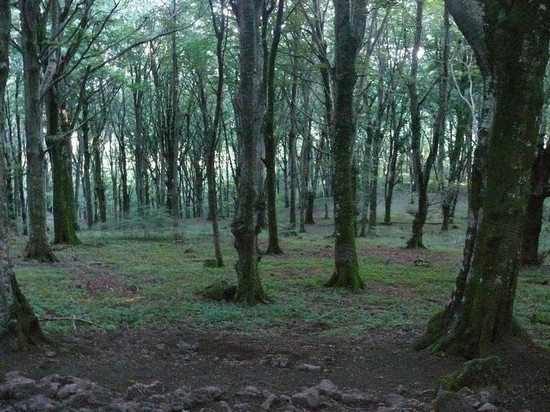 La veglia