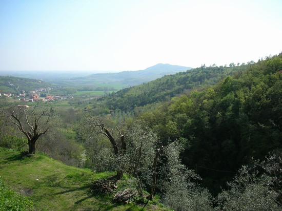 veduta dei colli euganei