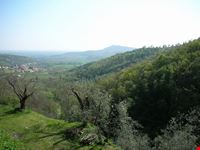 veduta dei colli euganei