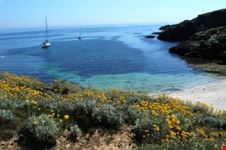 Spiaggia bretone