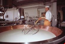 La preparazione del Parmigiano Reggiano