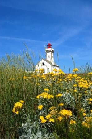 Il Faro