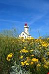 Il Faro