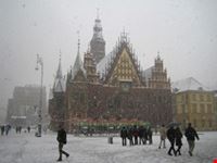 wroclaw town hall