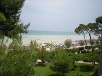 veduta pineta spiaggia pineto