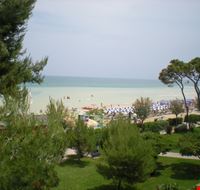 veduta pineta spiaggia pineto veduta pineta spiaggia pineto