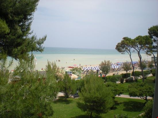 Pineto