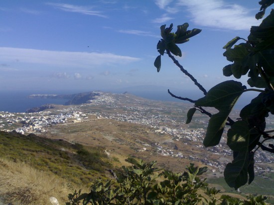 panorama