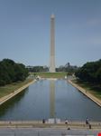 The mall