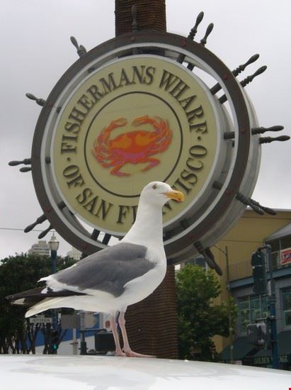 Fisherman's Wharf San Francisco  