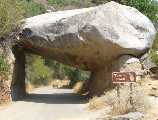  Sequoia National Park  