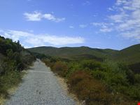 Isola di Capraia