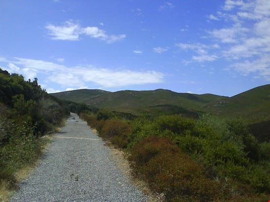 L'isola di Capraia Isola di Capraia  