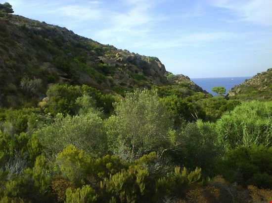  Isola di Capraia  