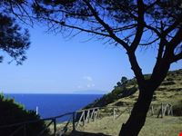 Isola di Capraia