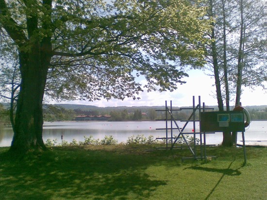 Primavera svedese